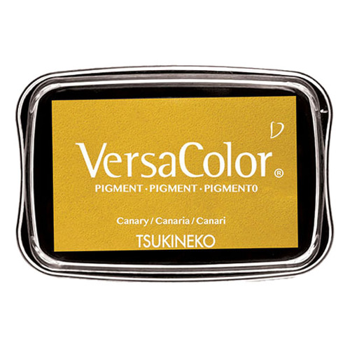 VersaColor Pigment Ink | Imagine
