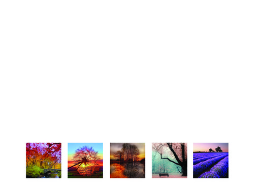 PHOTO Elements Small