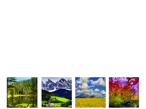 PHOTO Elements Large