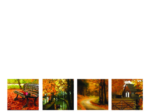 PHOTO Elements Large