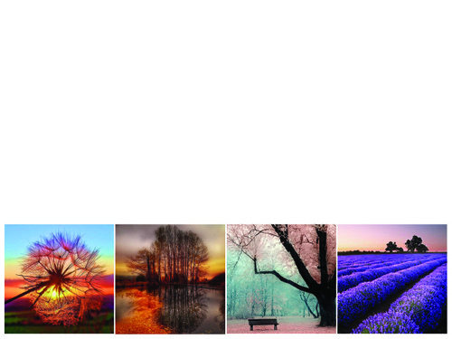 PHOTO Elements Jumbo