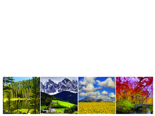 PHOTO Elements Jumbo