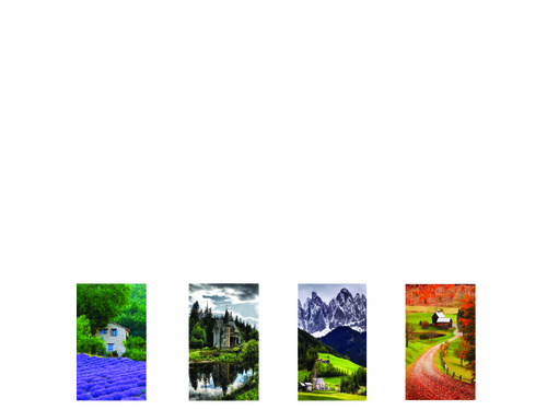 PHOTO Elements Dog Tags
