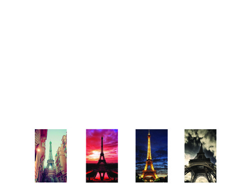 PHOTO Elements Dog Tags