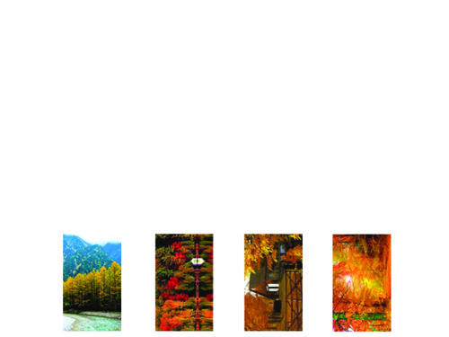 PHOTO Elements Dog Tags