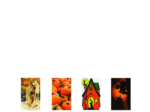 PHOTO Elements Dog Tags